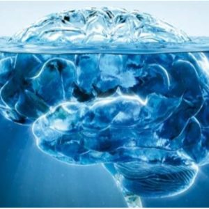 Forfait 5 séances hypnose